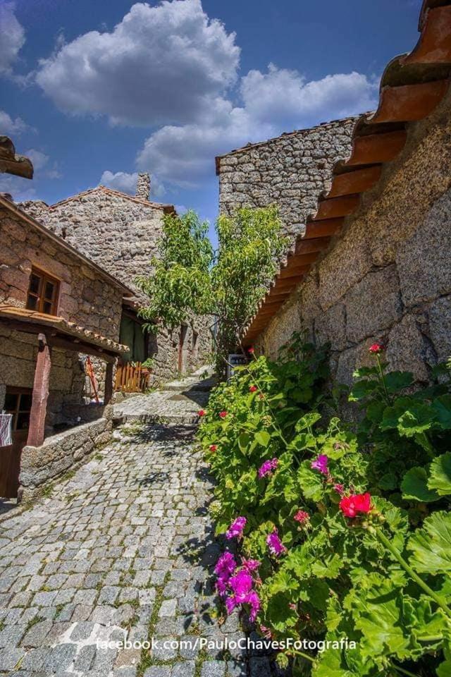 Casa Do Miradouro Βίλα Monsanto Εξωτερικό φωτογραφία